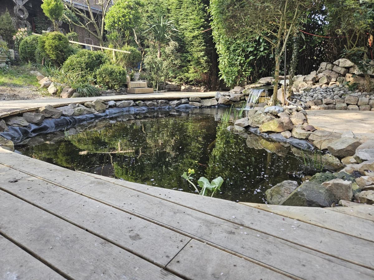 Création d’un bassin paysager à Douai (Nord) par Demaesenier Paysages — photo 6