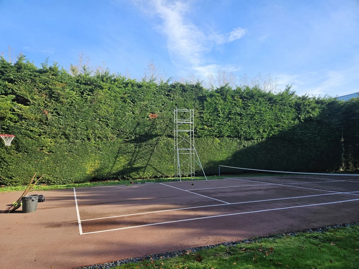 Taille de haie de cyprès — photo 1