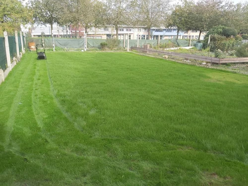 Engazonnement Douai — photo 2