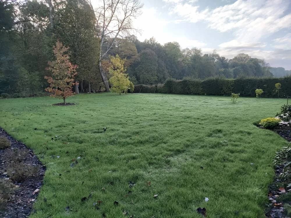 Plantation gazon Douai — photo 1