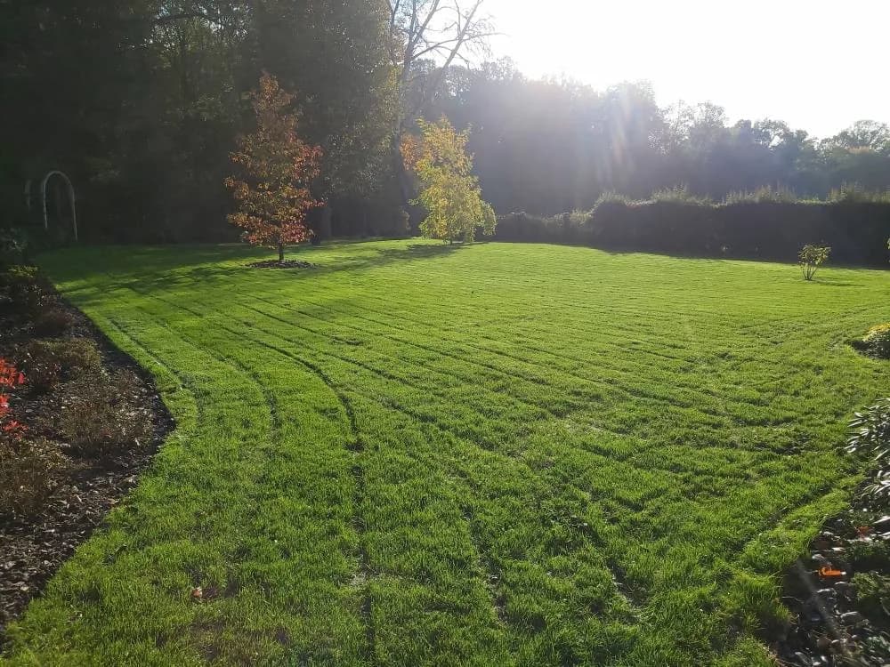 Plantation gazon Douai