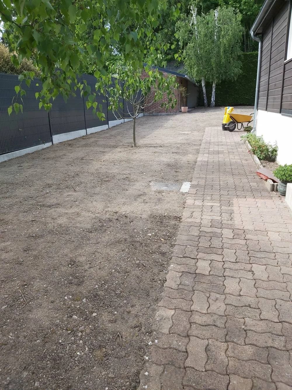 Création gazon Douai (59) — photo 2