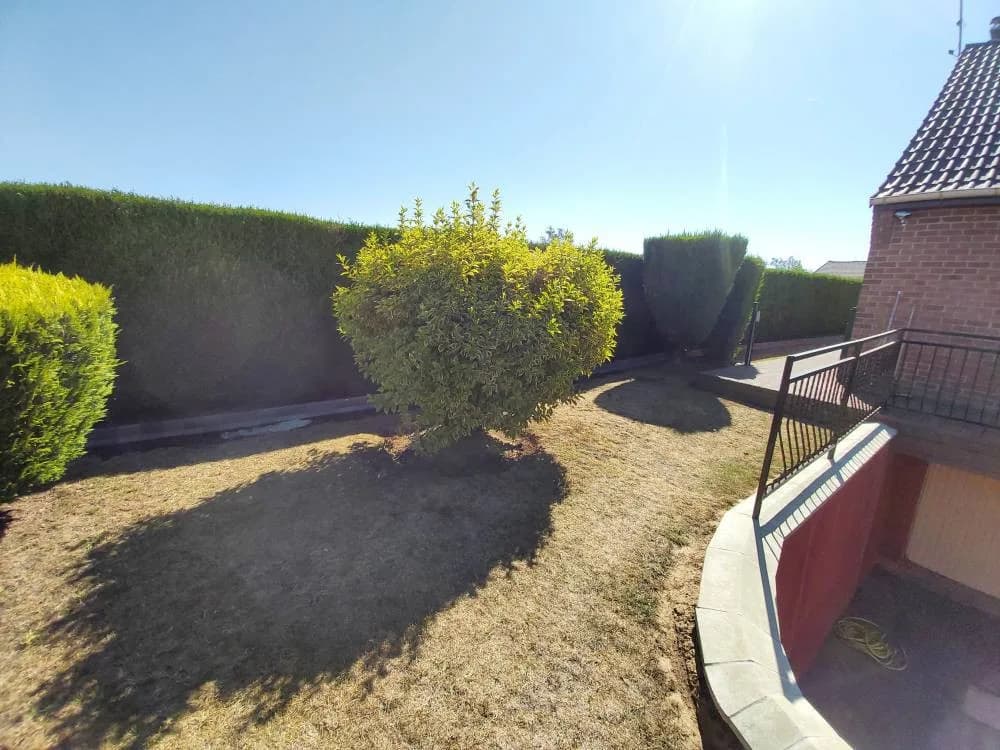 Pavage / Dallage Douai (59)