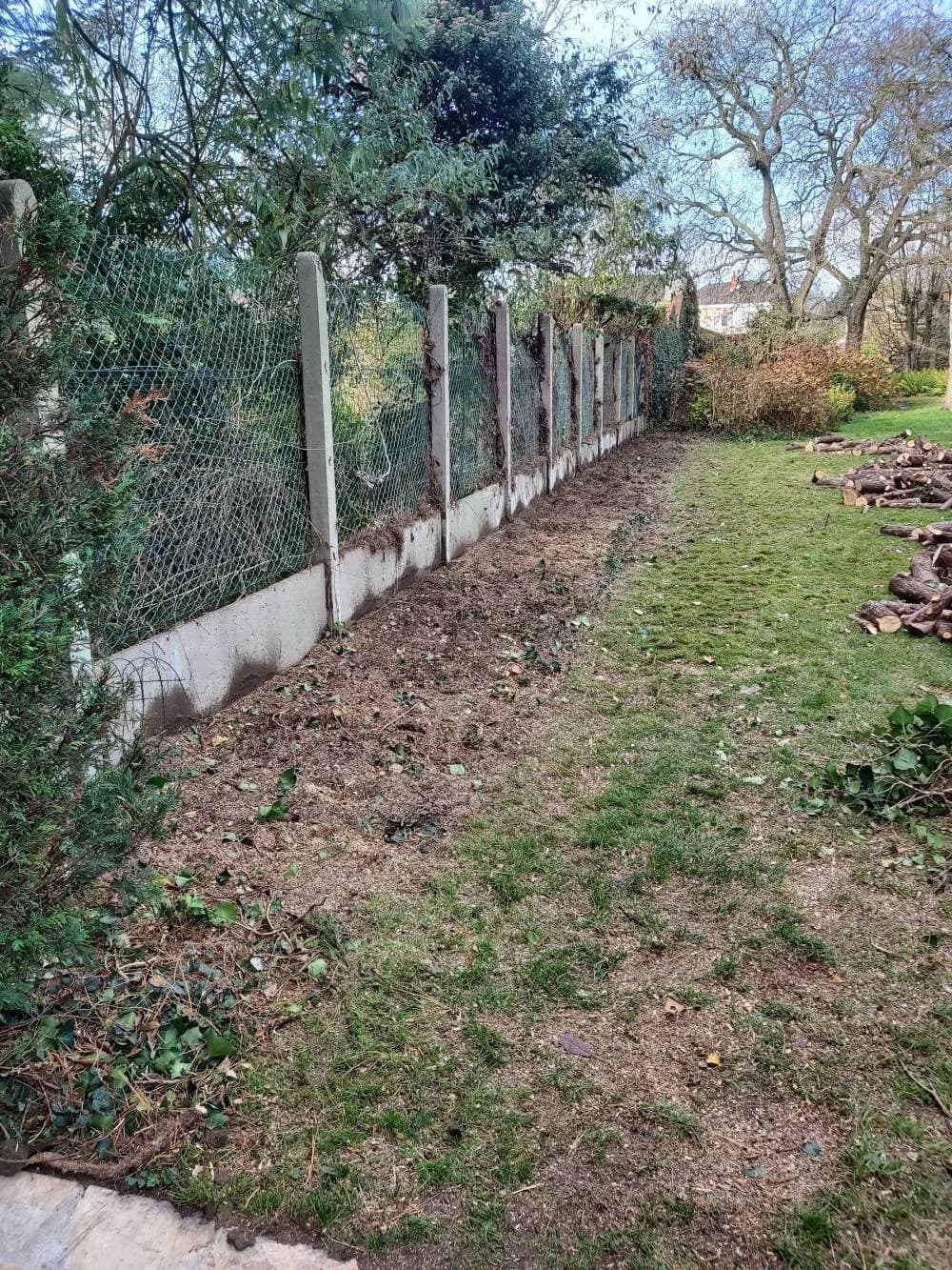 Suppression d'une haie Douai (59) — photo 1