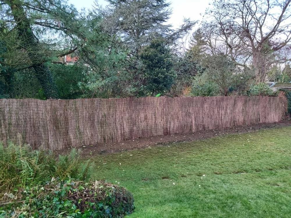 Pose occultation naturelle Douai (59)