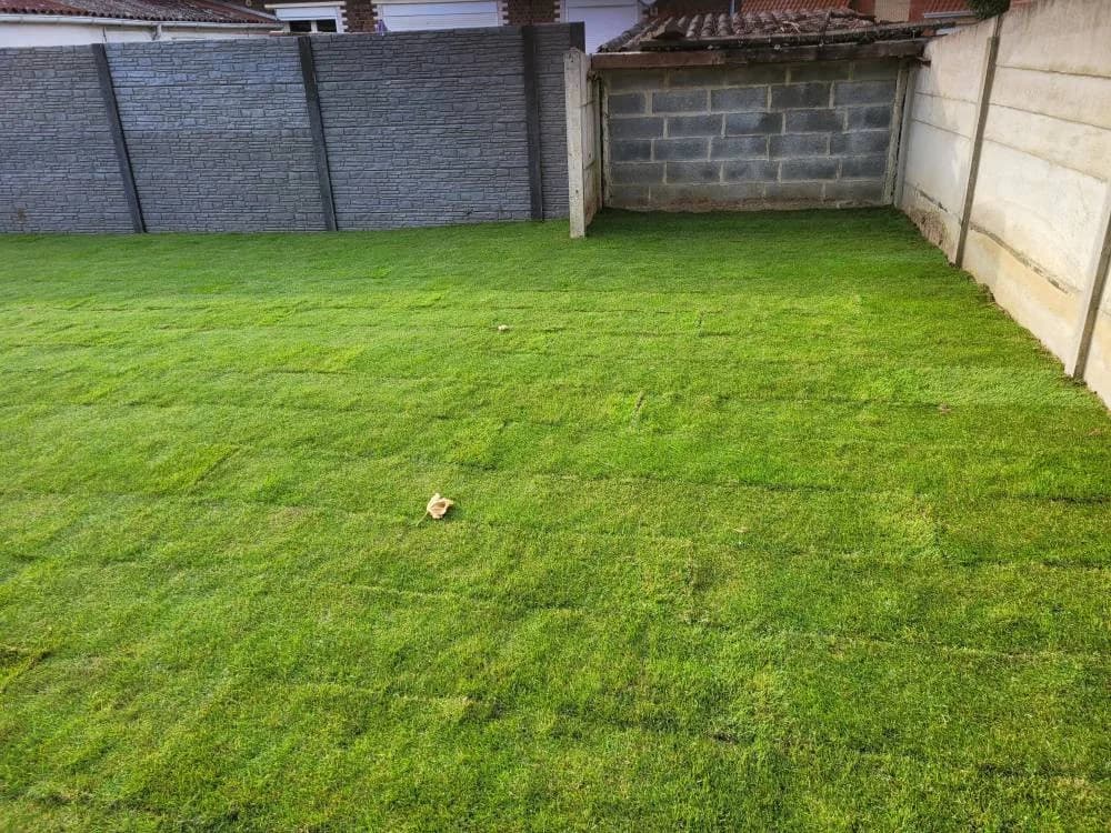 Engazonnement Douai (59) — photo 2