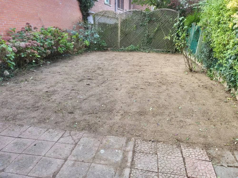 Engazonnement Douai (59) — photo 3