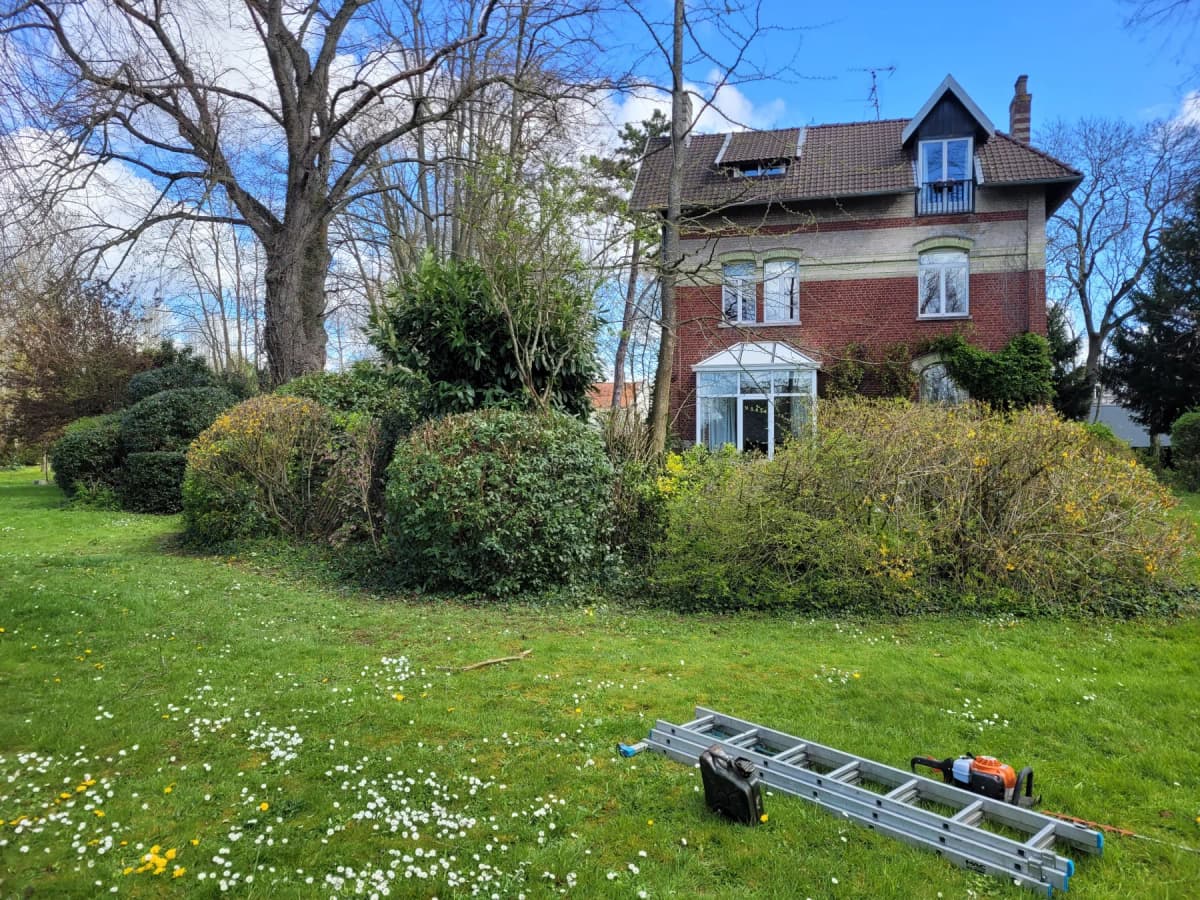 Terrasse pavés et dallage à Dechy