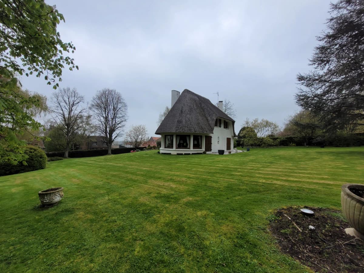 Entretien jardin et taille de haies Douai (59) — photo 1