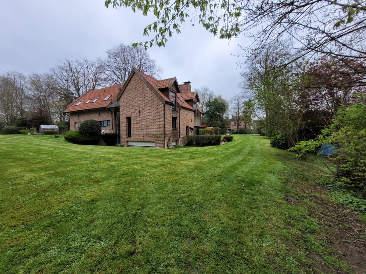 Entretien jardin et taille de haies Douai (59) — photo 2