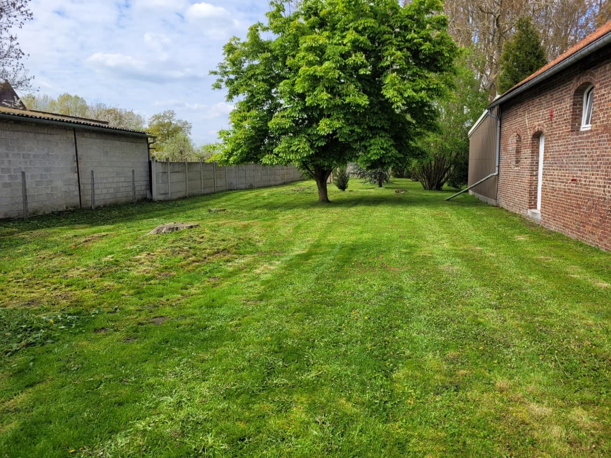Entretien jardin et taille de haies Douai (59) — photo 3