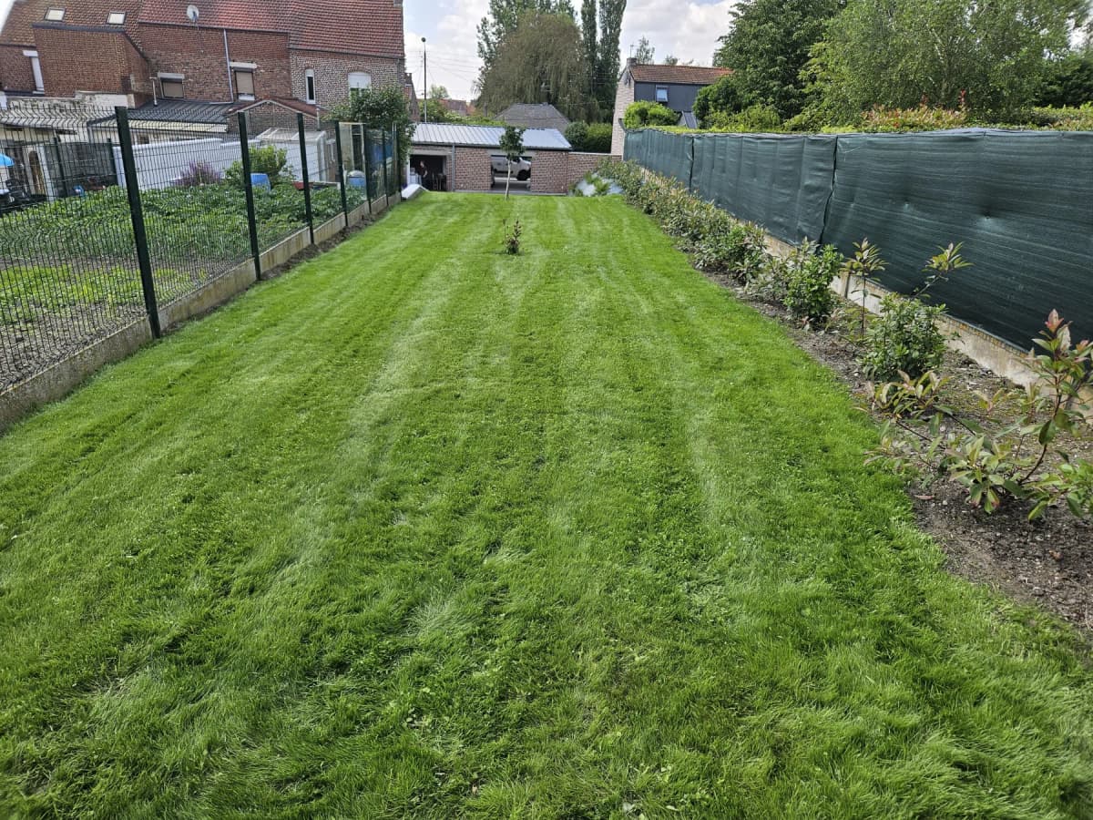 Engazonnement Hénin Beaumont — photo 1