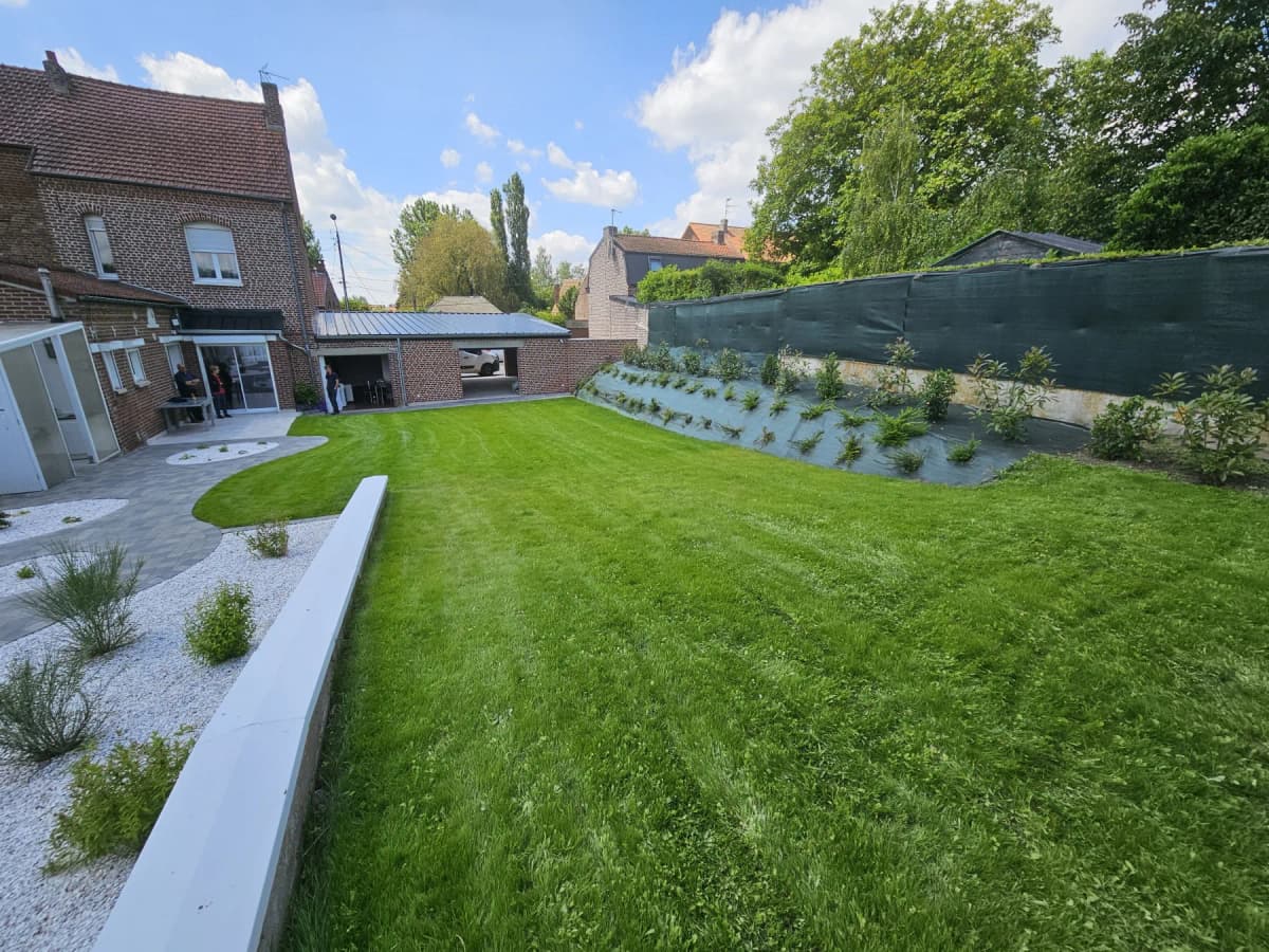 Engazonnement Hénin Beaumont — photo 2