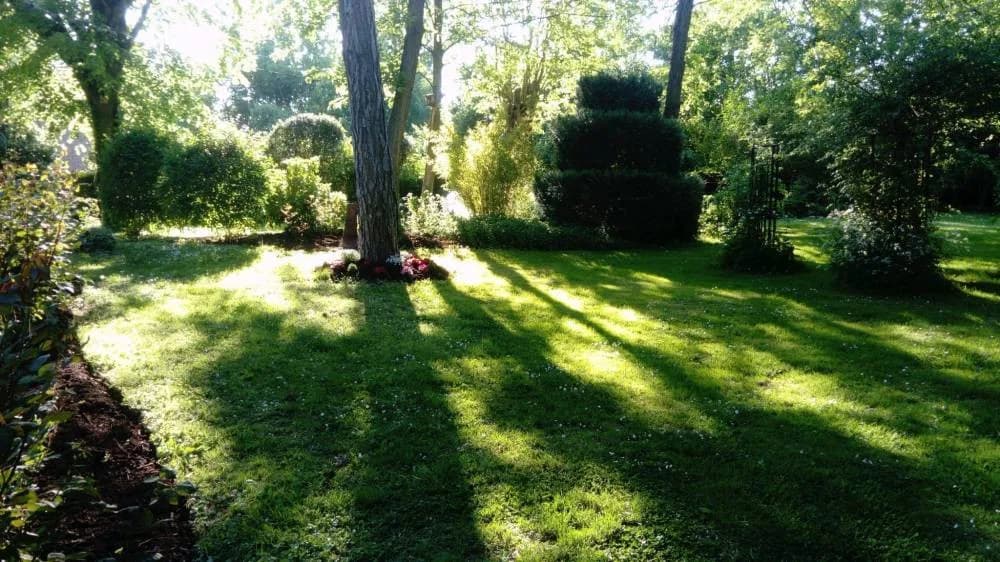 Entretien paysager Douai (59) — photo 2