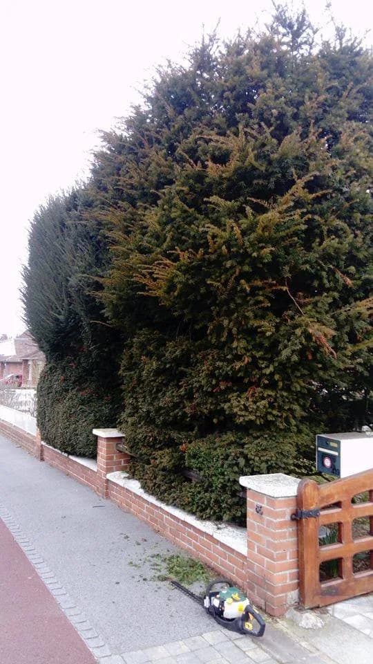 Entretien paysager Douai (59) — photo 1