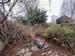 Entretien de jardin Douai (59) — photo 3