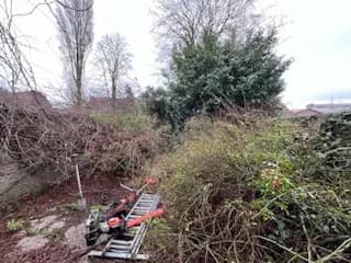 Entretien de jardin Douai (59) — photo 2