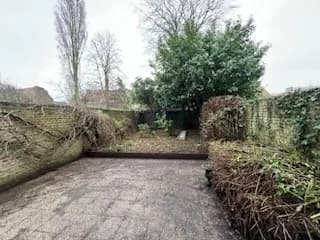 Entretien de jardin Douai (59) — photo 1