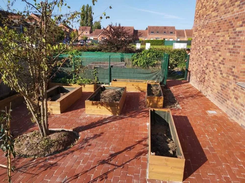 Pavage brique Douai (59)