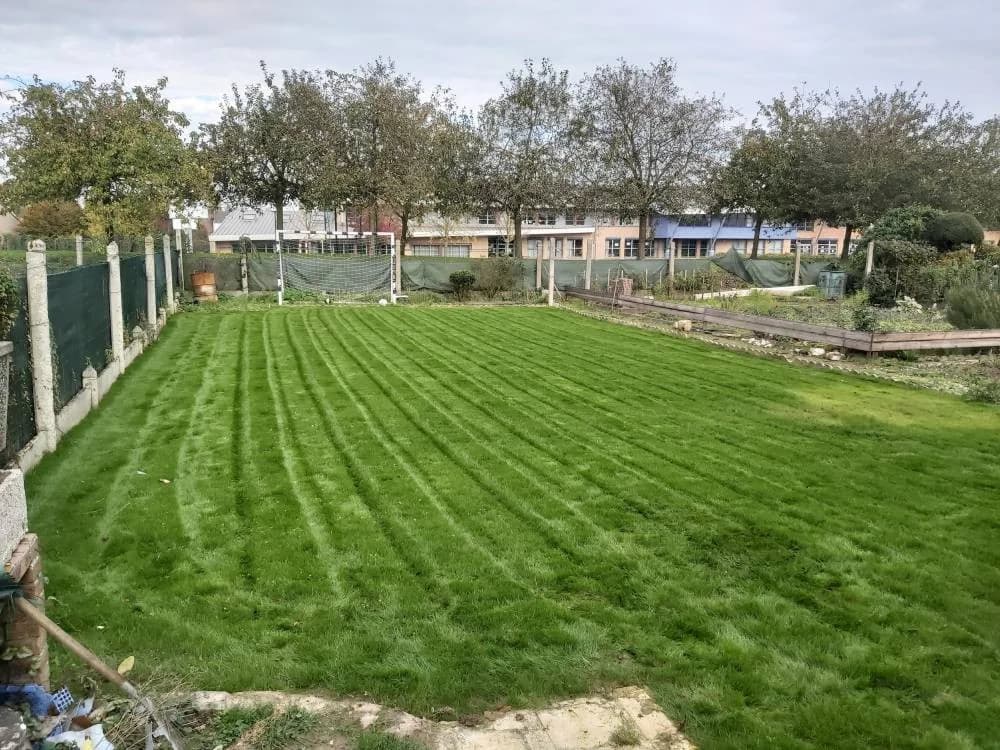 Engazonnement Douai