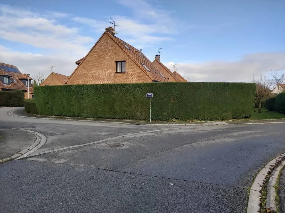 Taille de haies Hénin-Beaumont (62)