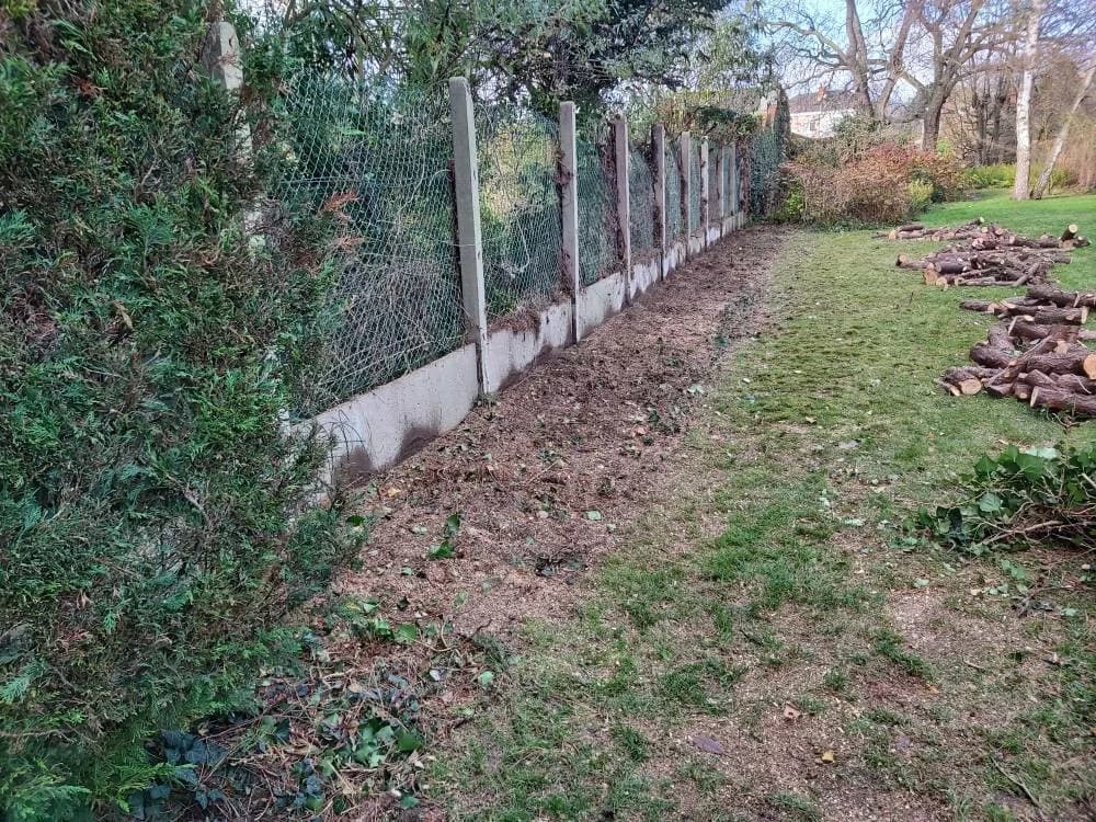 Suppression d'une haie Douai (59)