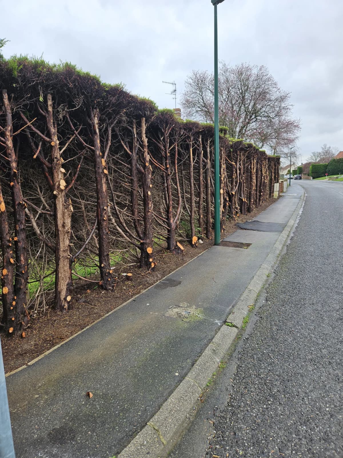 Pose d’une clôture rigide avec lattes PVC à Roost-Warendin (59) par Demaesenier Paysage — avant travaux