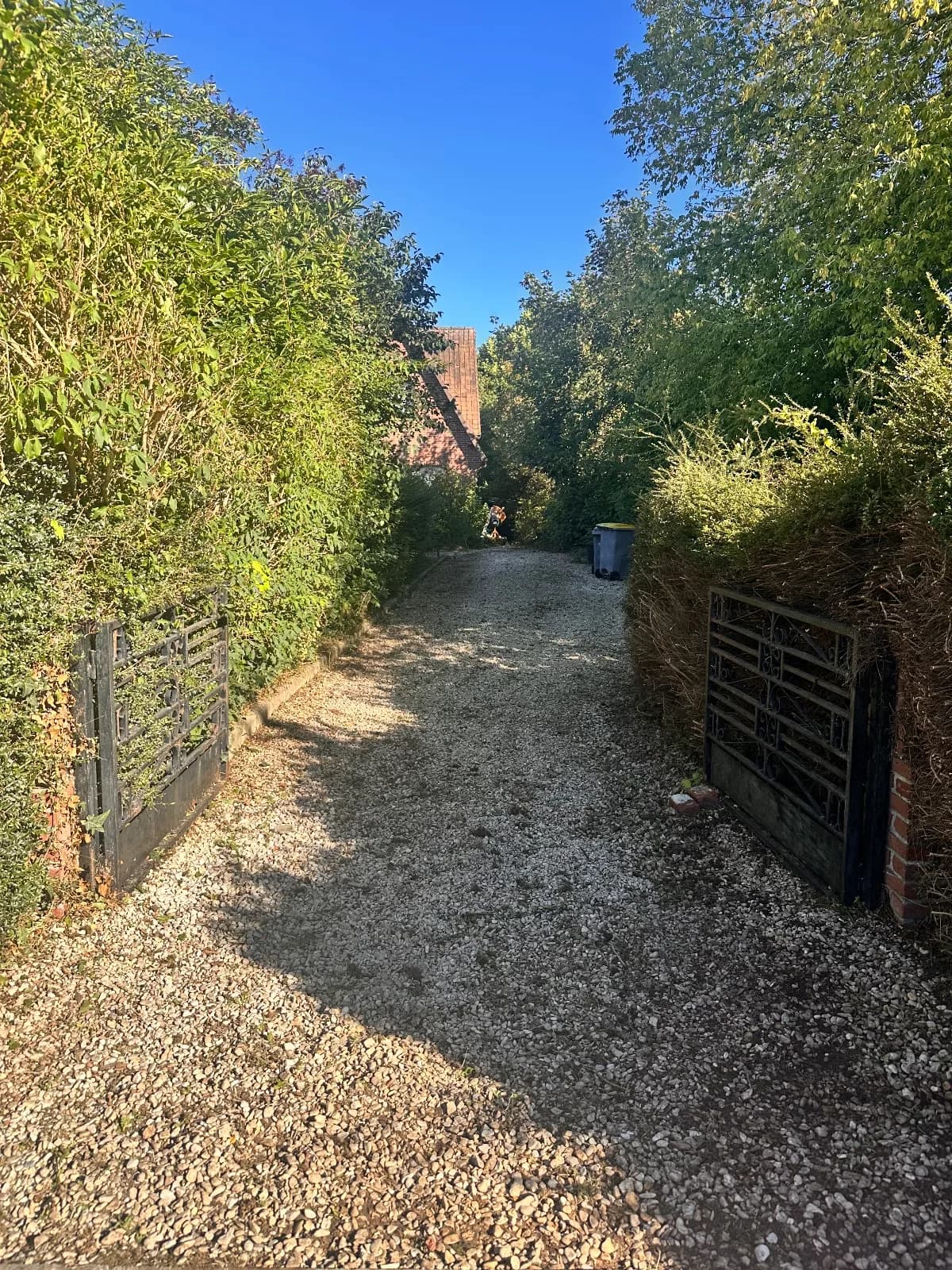 Désherbage d'une allée en gravier et nettoyage des massifs à Cambrai (59)