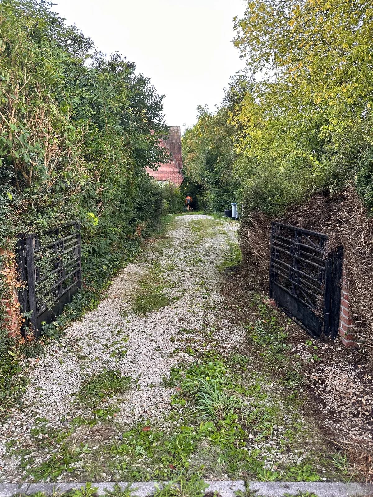 Désherbage d'une allée en gravier et nettoyage des massifs à Cambrai (59) — avant travaux
