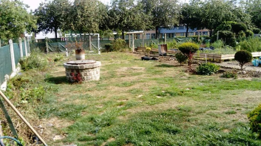 Engazonnement Douai — avant travaux