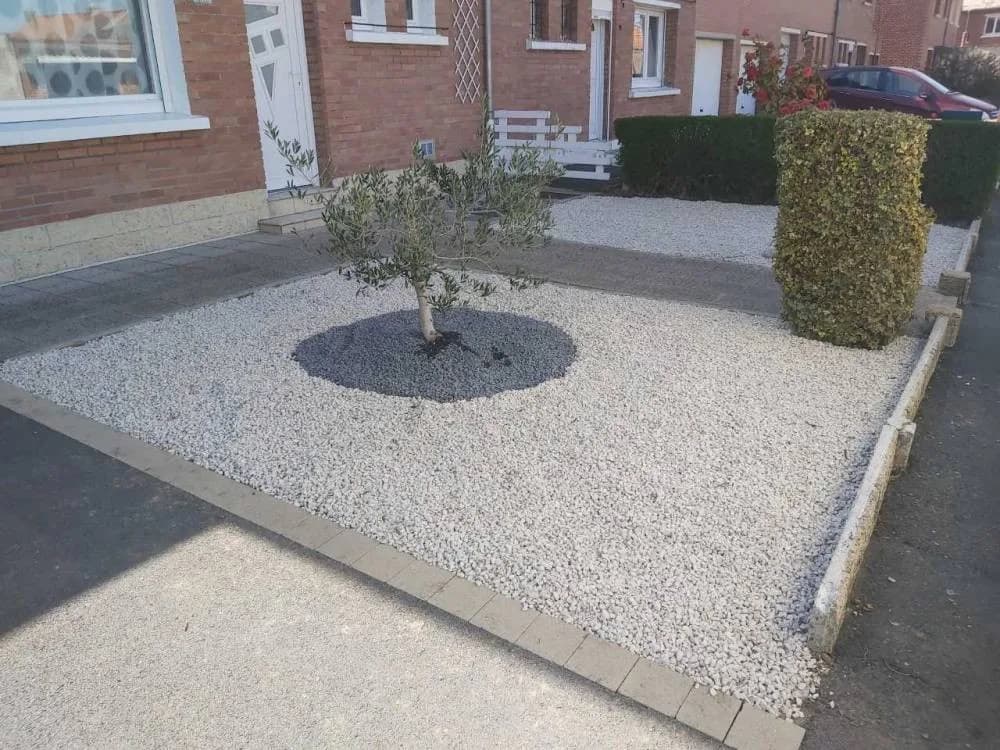 Minéralisation Douai (59)